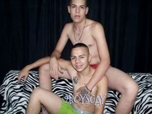 2BOYS_GAY