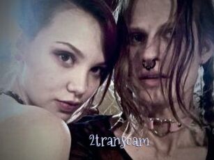 2_trans_cam