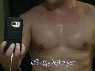 69PussyDestroyer Faceporno