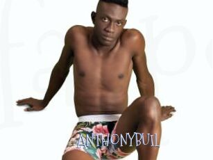 ANTHONYBUIL