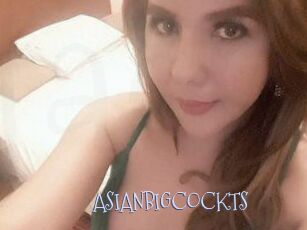 ASIAN_BIGCOCK_TS