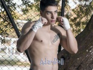 AdamBull