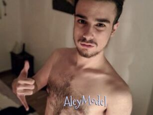 AleyModel