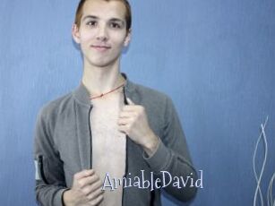AmiableDavid
