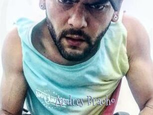 Andres_Bracho
