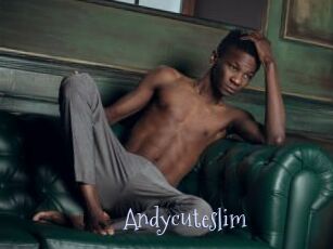 Andycuteslim