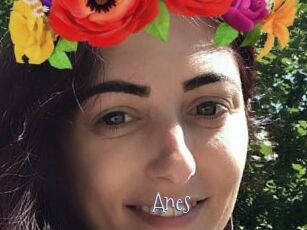 Anes