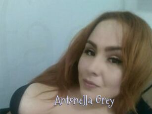 Antonella_Grey