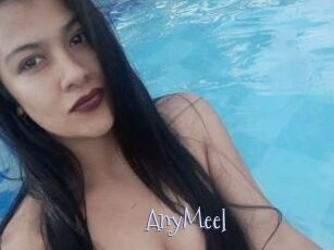 AnyMeel