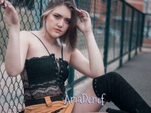 AriaDenef