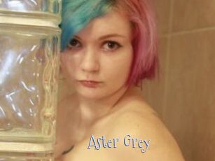 Aster_Grey