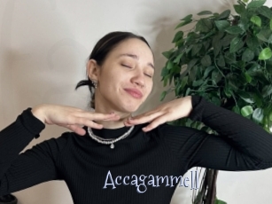 Accagammell