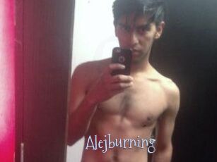 Alejburning