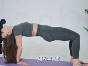 Aliceernle
