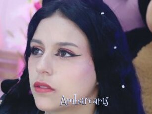 Ambarcams