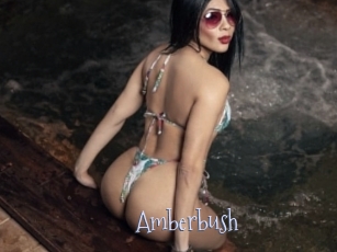 Amberbush