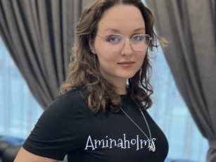 Aminaholms