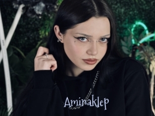 Aminaklep