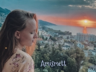 Amismett