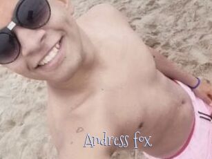 Andress_fox