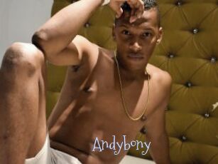 Andybony