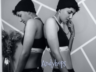 Andyhops