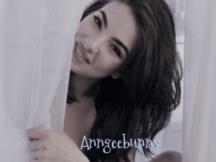 Anngeebunny