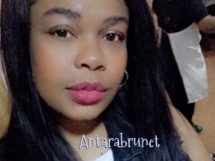 Antarabrunet