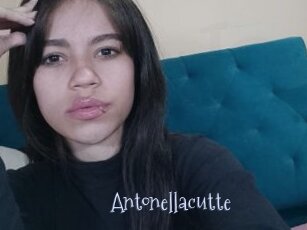 Antonellacutte
