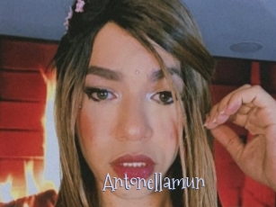 Antonellamun