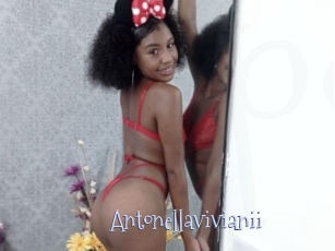 Antonellavivianii