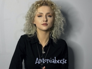 Antoniabeese
