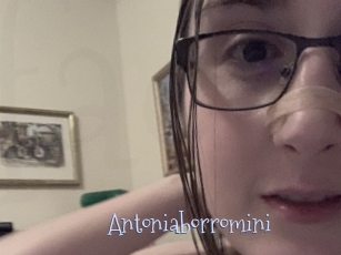 Antoniaborromini