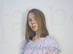 Antoniabowring