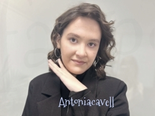 Antoniacavell