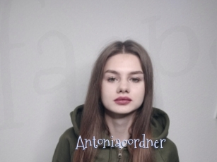 Antoniacordner