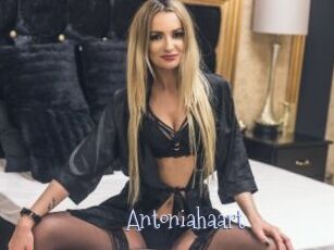 Antoniahaart