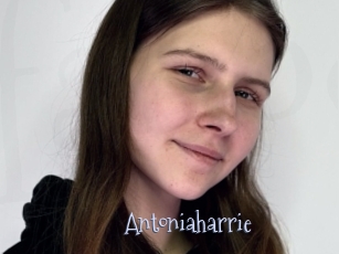 antoniaharrie Faceporno