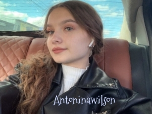 antoninawilson Faceporno