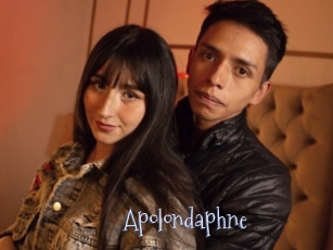 Apolondaphne