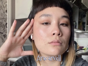 aracarvell Faceporno