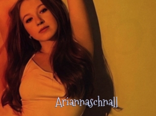 Ariannaschnall