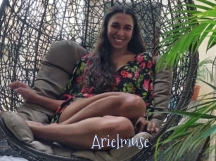 Arielmuse