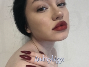 Audreybigge