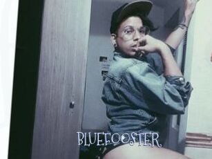 BLUEFOOSTER