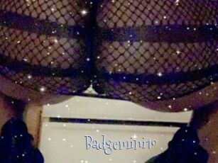 Badgemini10