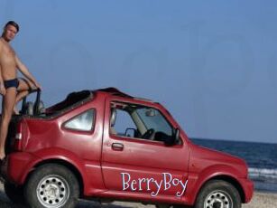 BerryBoy