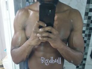 Bigdbull