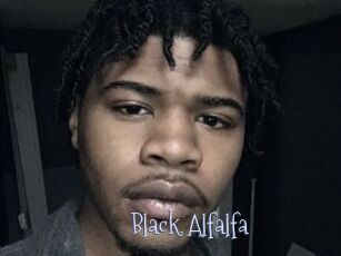 Black_Alfalfa