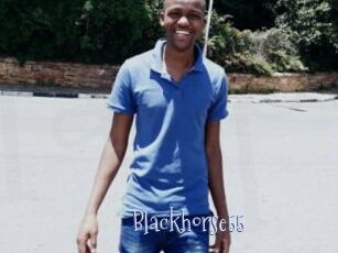 Blackhorse55